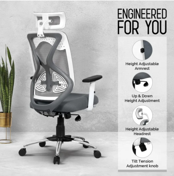 Daurban D-401 Fusion